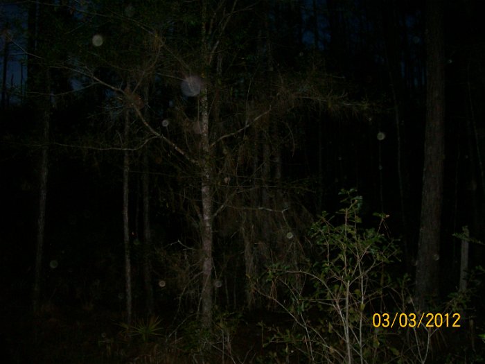 2012-Mar-03HGR4X4Richloam 234